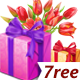 柒瑞在线大礼包