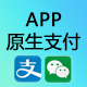 App原生支付
