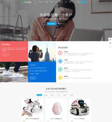 企业/公司/产品