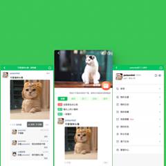 多米朋友圈手机版