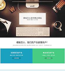 企业官网/项目介绍