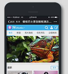 VR视频/二次元/资讯
