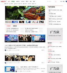 门户/新媒体+手机版