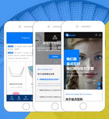 企业公司产品手机