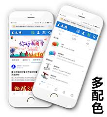 纯论坛手机模版