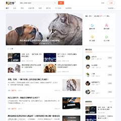 财经/资讯/新闻